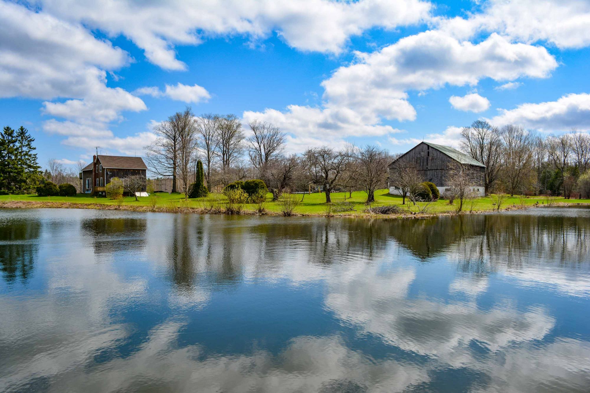 Majestic 150 Acres 