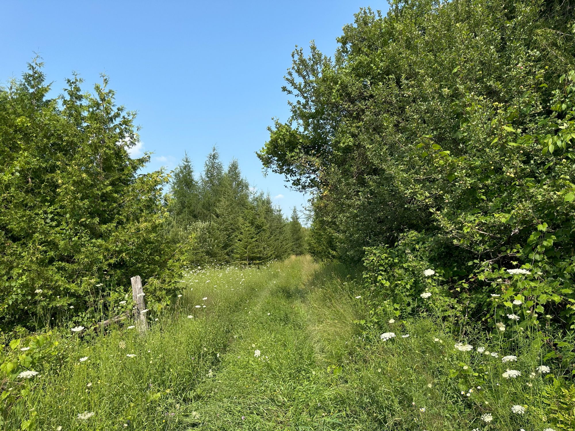 3.4 Acre Lot