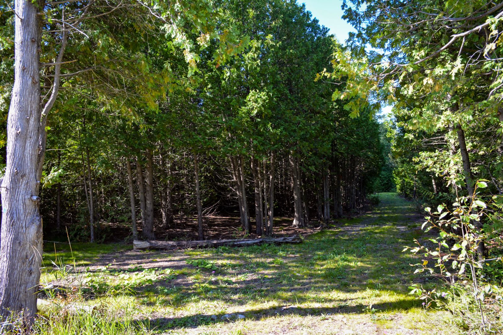 2.8 Acres
